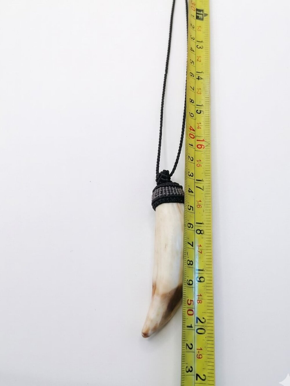 Shamanic Sea Lion Tooth Necklace Protection Amulet - Picture 8 of 8